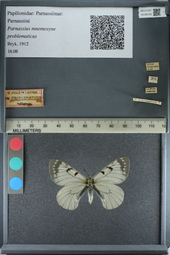 Media type: image;   Entomology 180123